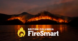 firesmart this winter to protect your home from wildfire